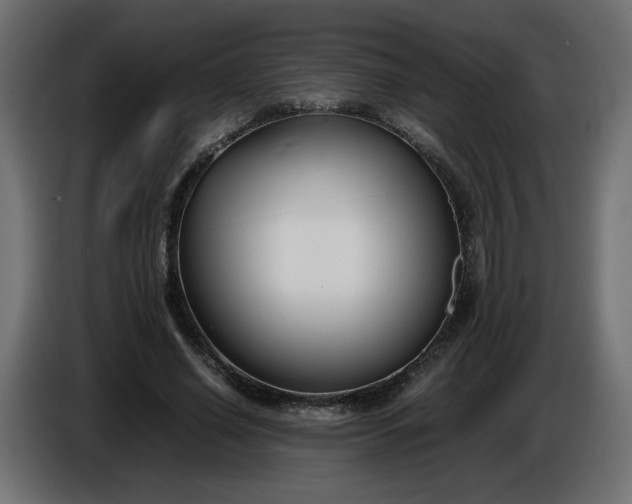 X0000086330638200704131721