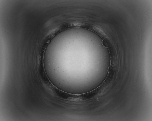 X0000086330639200704131721