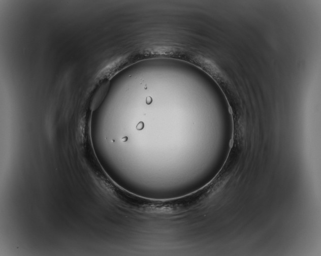 X0000086330640200704131721