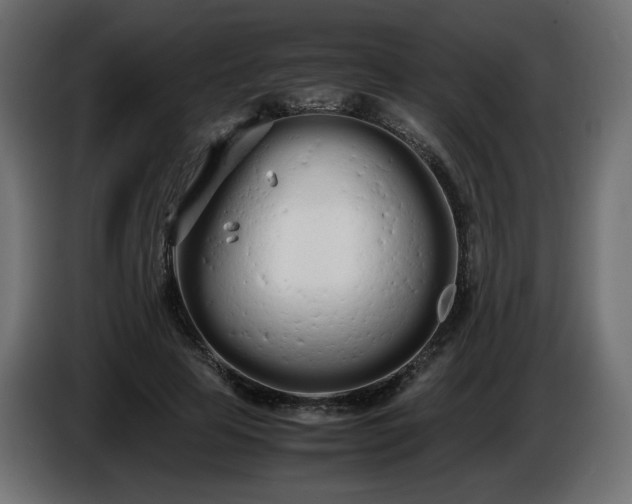 X0000086330641200704131721