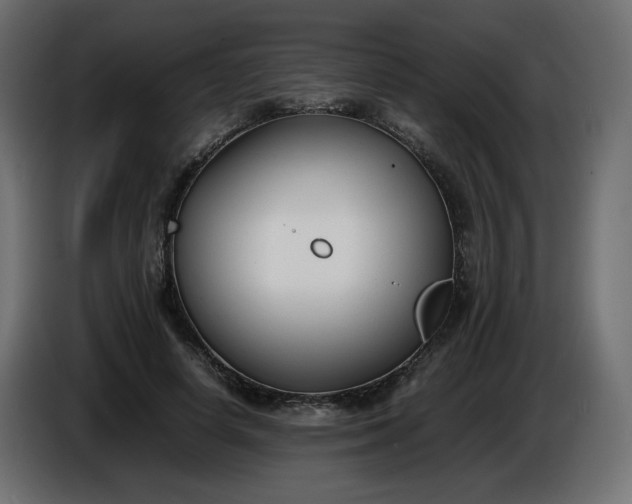 X0000086330642200704131721