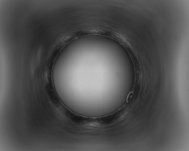 X0000086330643200704131721