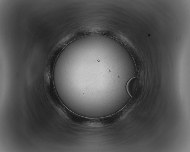 X0000086330644200704131721