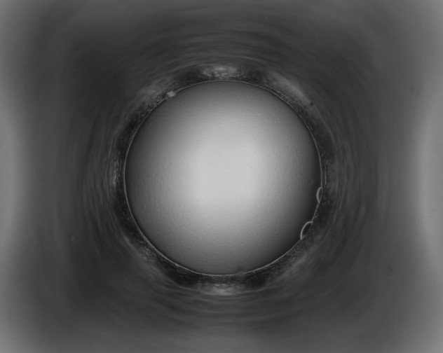 X0000086330645200704131721