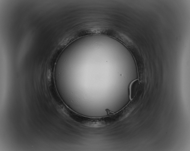 X0000086330646200704131721