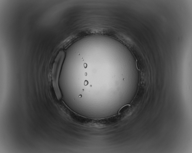 X0000086330648200704131721