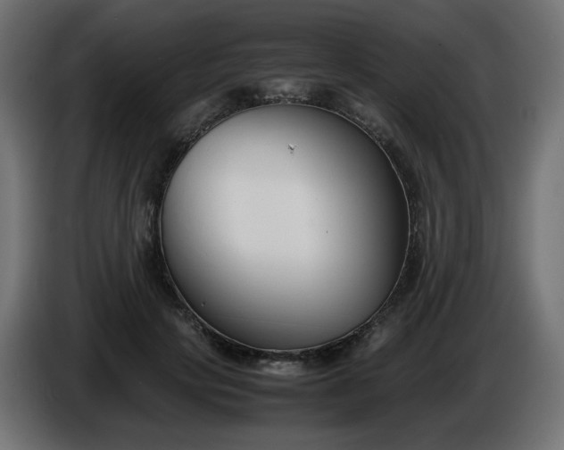 X0000086330649200704131721