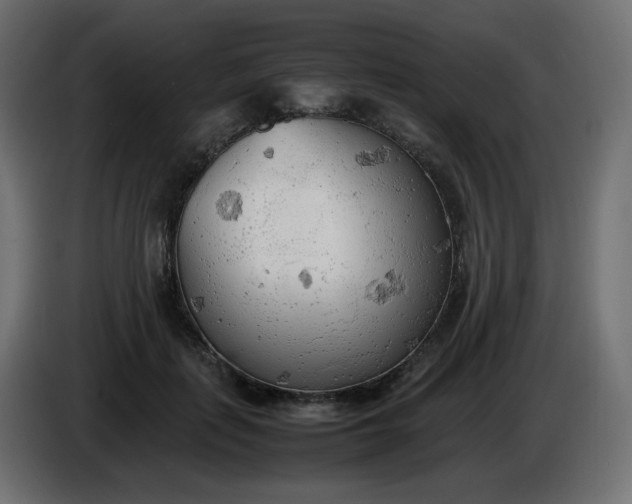 X0000086330651200704131721