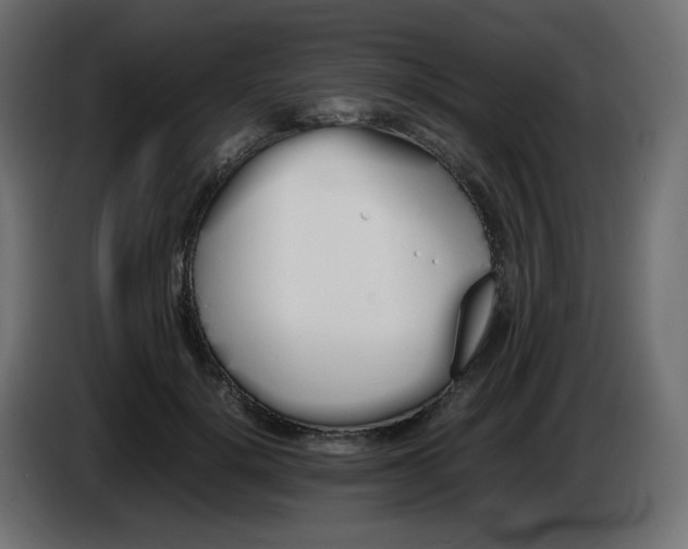 X0000086330652200704131721