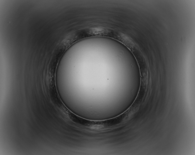 X0000086330653200704131721