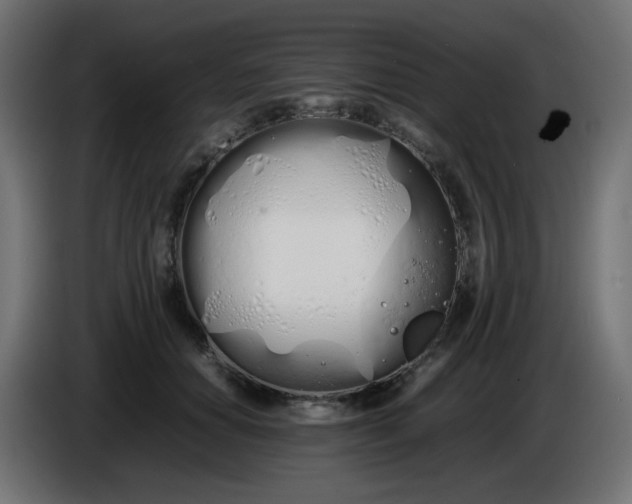 X0000086330654200704131721