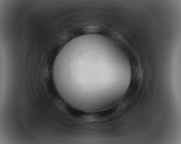 X0000086330655200704131721