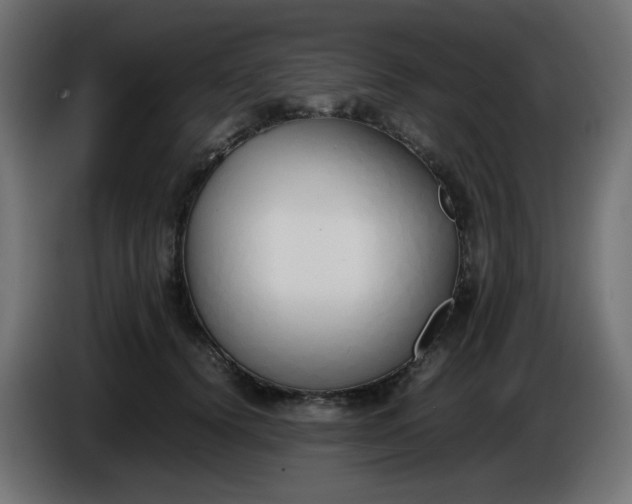 X0000086330656200704131721