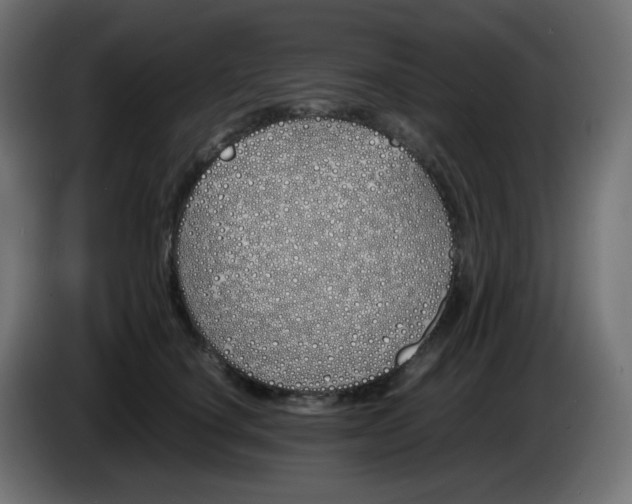 X0000086330660200704131721