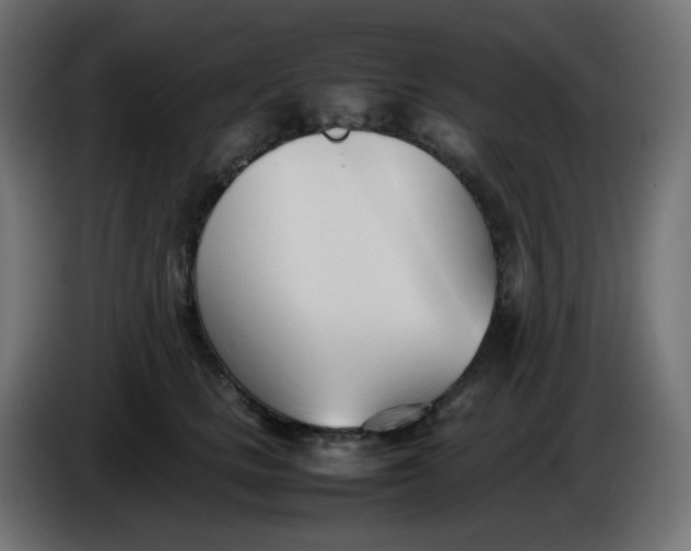 X0000086330661200704131721