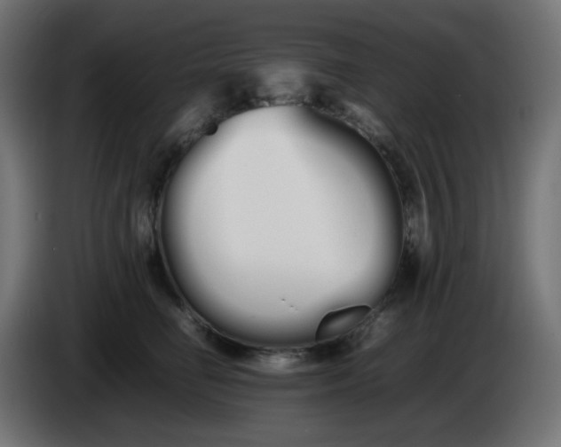 X0000086330662200704131721