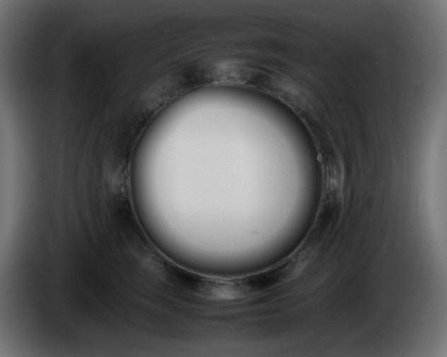 X0000086330663200704131721