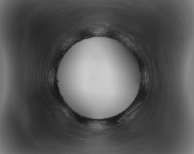 X0000086330664200704131721