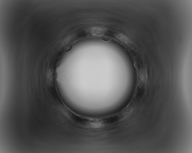 X0000086330667200704131721