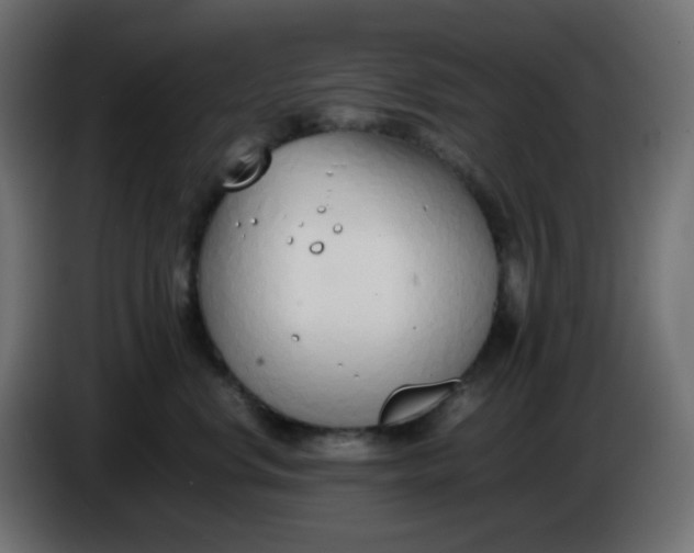 X0000086330668200704131721