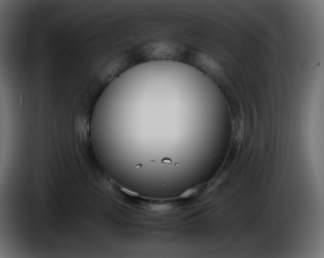 X0000086330669200704131721