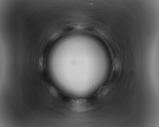 X0000086330670200704131721