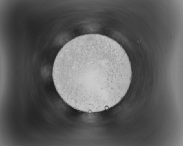 X0000086330672200704131721