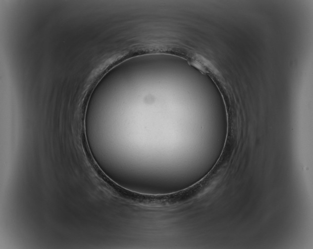 X0000086330673200704131720