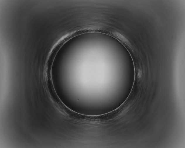 X0000086330676200704131720