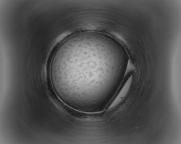 X0000086330678200704131720