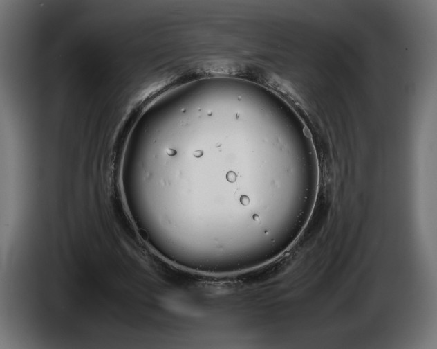 X0000086330679200704131720