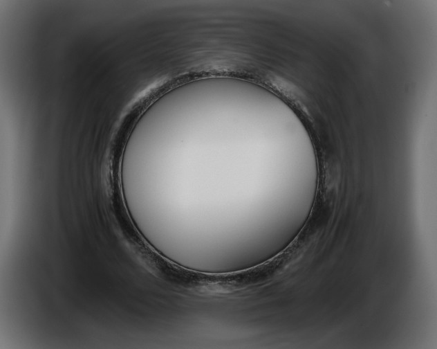 X0000086330680200704131720