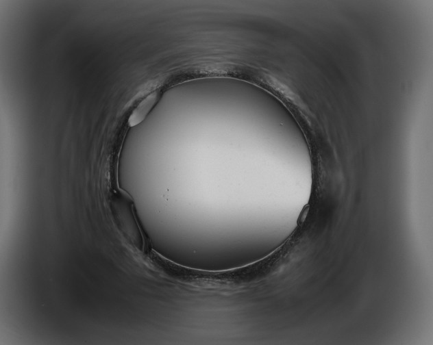 X0000086330681200704131720