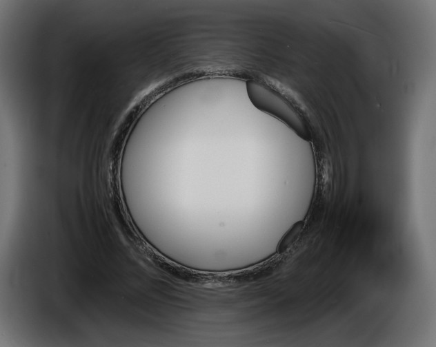 X0000086330684200704131720