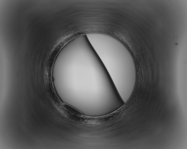 X0000086330688200704131720