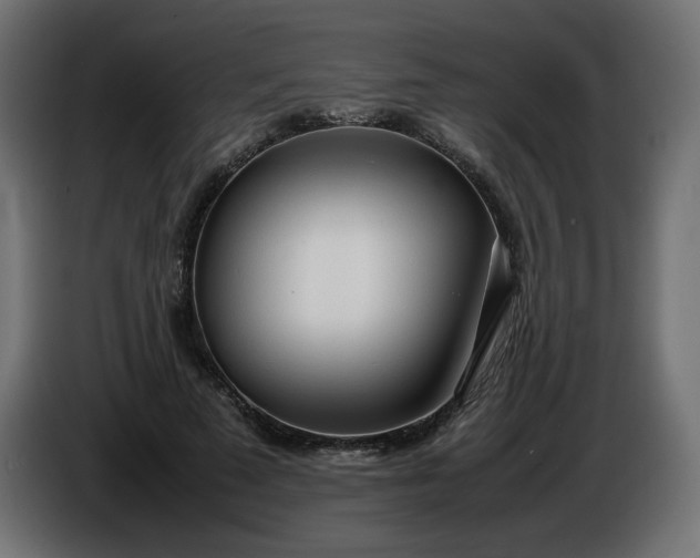 X0000086330689200704131720