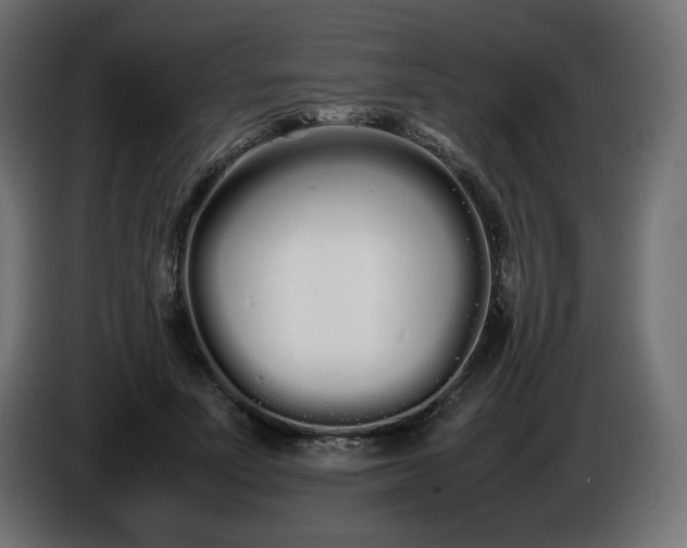 X0000086330691200704131720