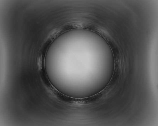 X0000086330694200704131720