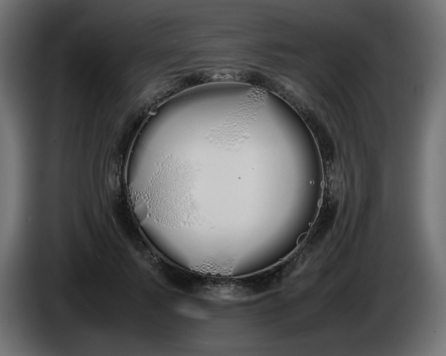 X0000086330695200704131720