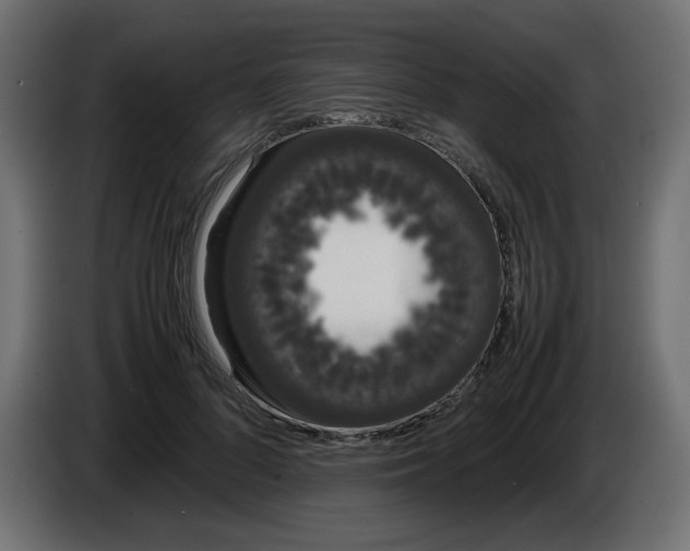 X0000086330696200704131720