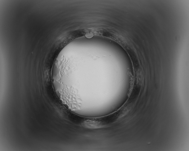 X0000086330699200704131720