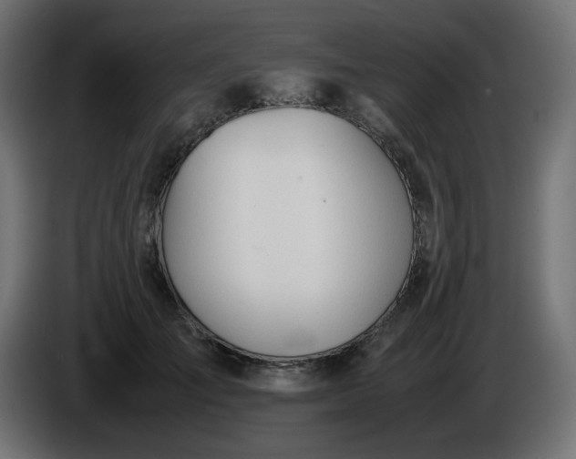 X0000086330701200704131720