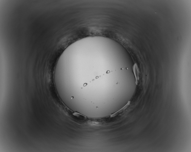 X0000086330706200704131720