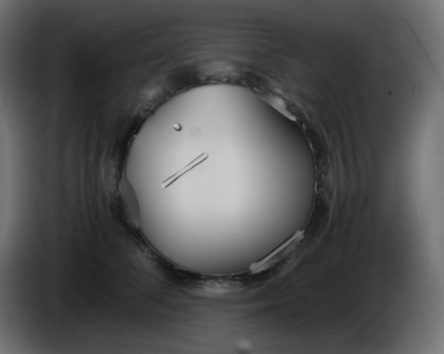 X0000086330708200704131720