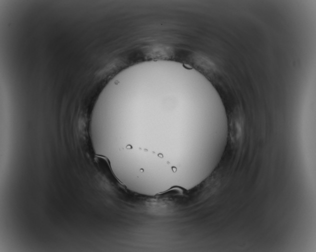 X0000086330714200704131719