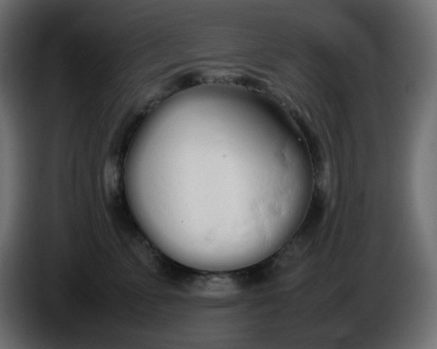 X0000086330715200704131719