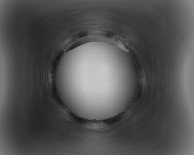 X0000086330716200704131719