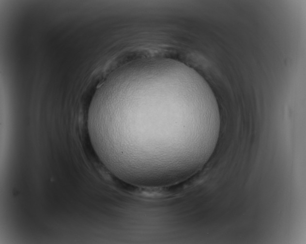 X0000086330720200704131719