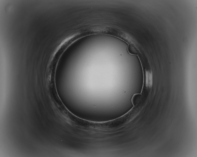 X0000086330723200704131719