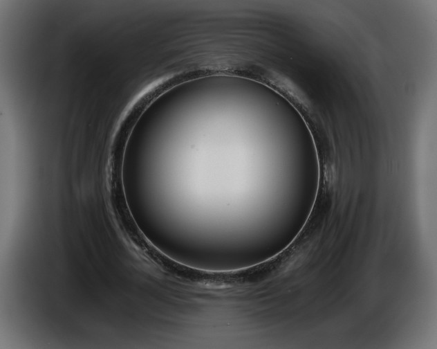 X0000086330724200704131719